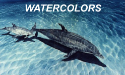 WATERCOLORS